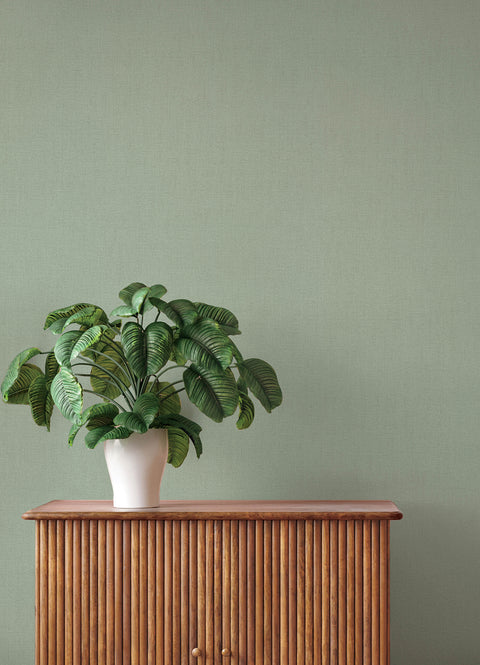4202-484588 Naim Sage Solid Texture Wallpaper