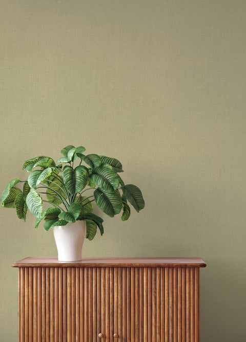 4202-484687 Naim Olive Solid Texture Wallpaper