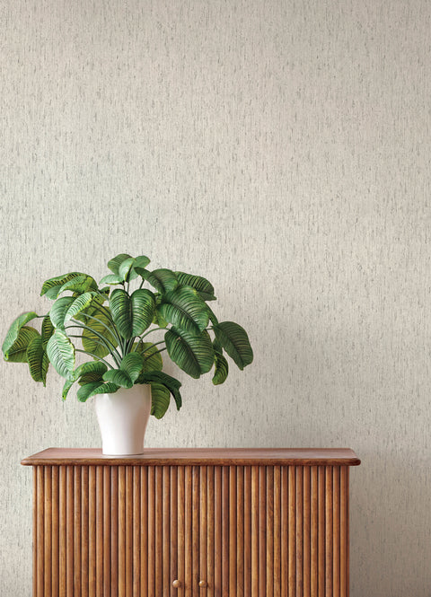 4202-571042 Roison Light Grey Birch Bark Wallpaper