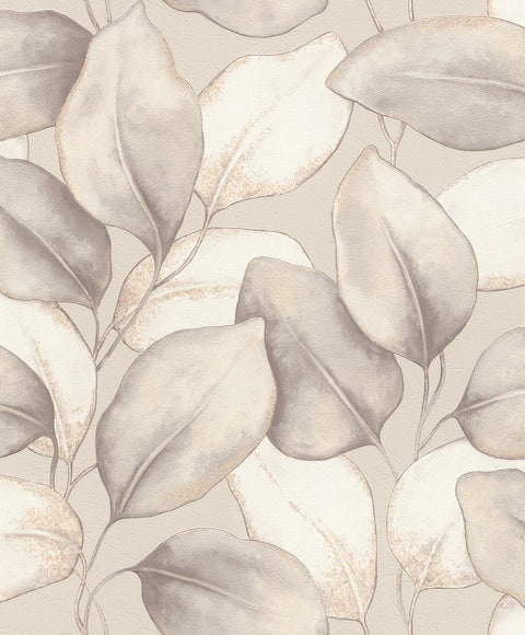 4202-659856 Evanthe Grey Vine Wallpaper