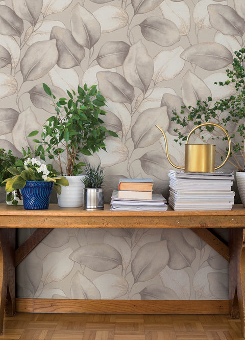 4202-659856 Evanthe Grey Vine Wallpaper