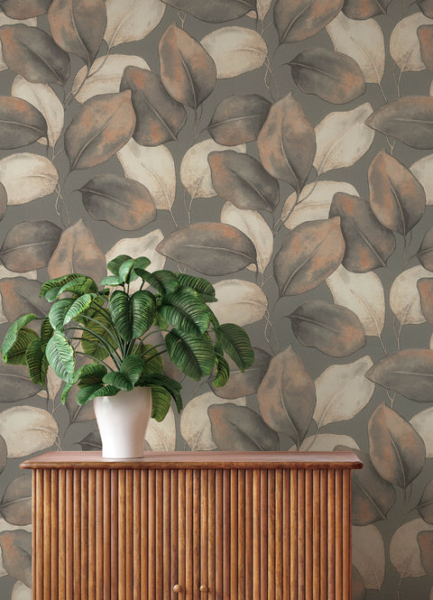 4202-659887 Evanthe Charcoal Vine Wallpaper