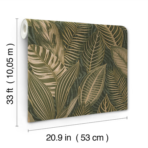 4202-751826 Acacius Dark Green Tropical Foliage Wallpaper