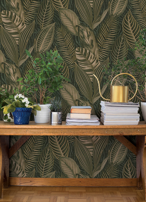 4202-751826 Acacius Dark Green Tropical Foliage Wallpaper