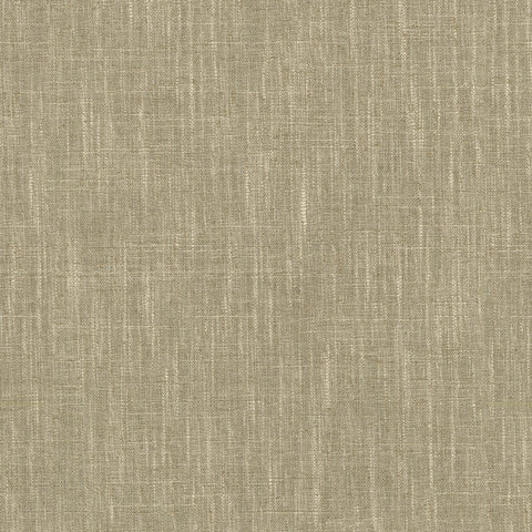 Accent Flax PKL Studio Fabric