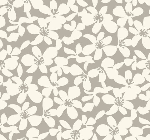 BO6681 Brown Free Spirit Wallpaper