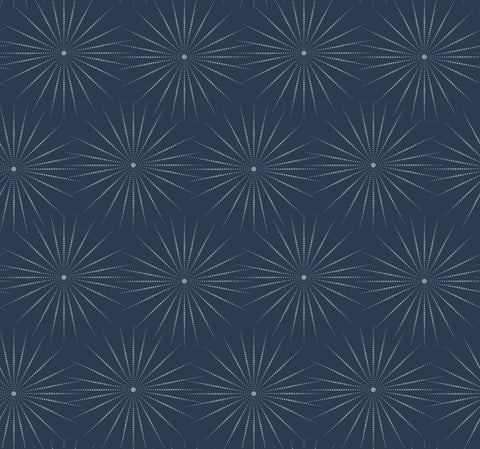 BO6695 Blue Silver Starlight Wallpaper