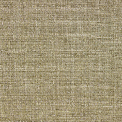 Delling Ginko Richloom Fabric