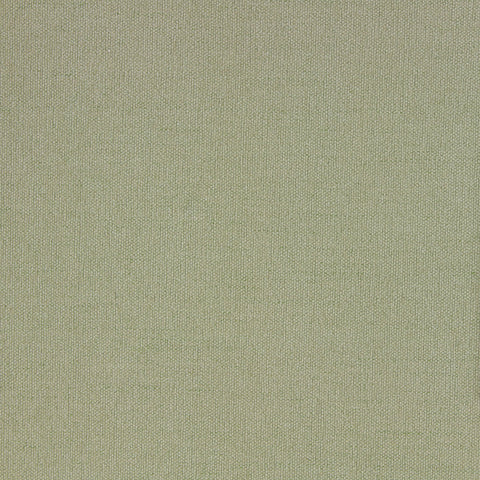 Favorite Celery Richloom Fabric
