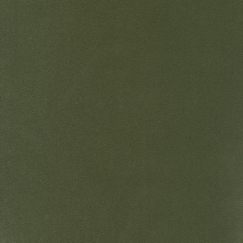 Map Dill Regal Fabric