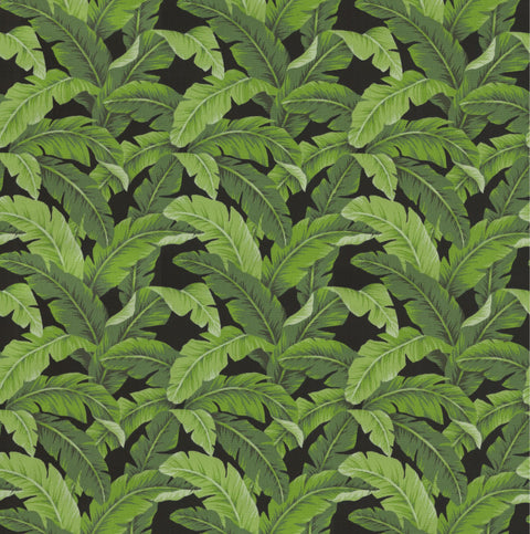 OD Belize Black Tempo Fabric