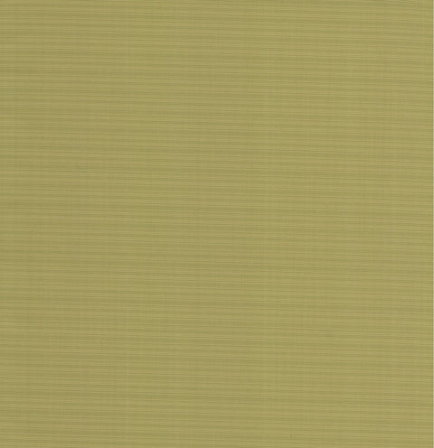 OD La Playa Lime Tempo Fabric