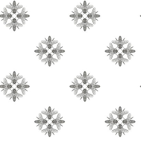 ON1643 Black White Honey Bee Wallpaper