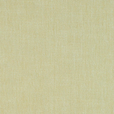 Performance Beck Eggshell P Kaufmann INdurance Fabric