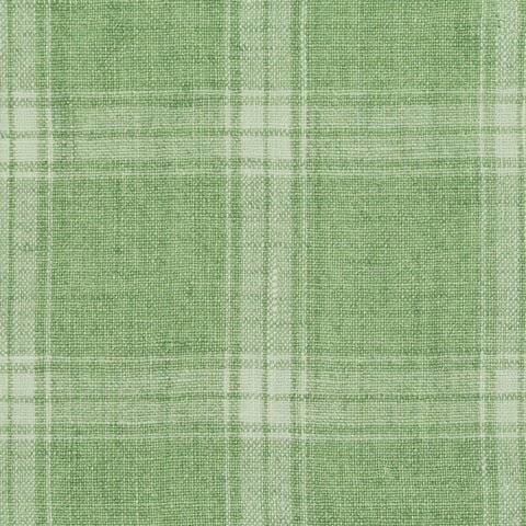 Preston 389 Cactus P Kaufmann Fabric