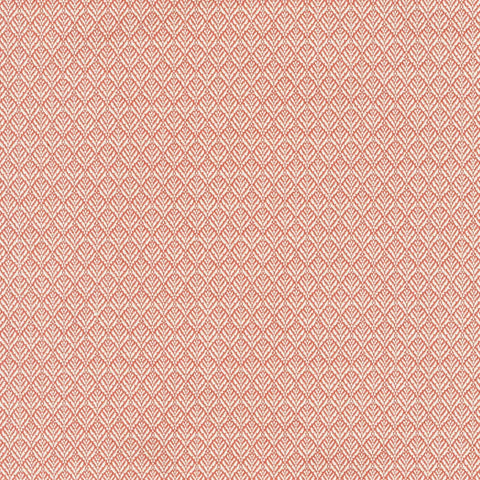 Tend Coral Regal Fabric