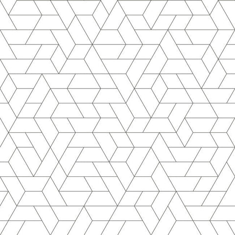 SW7457 Black Point of View Wallpaper