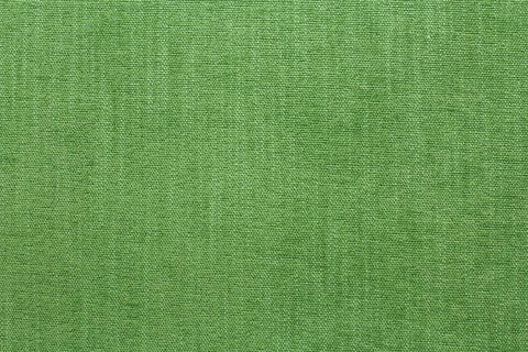 Daily Greenery Crypton Fabric