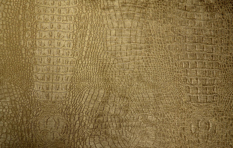 Wendy Caramel Regal Fabric