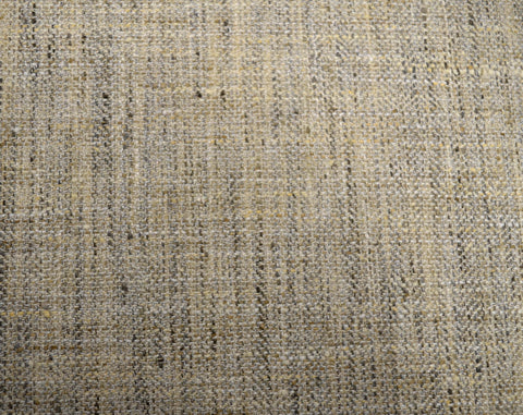 Trophy Seashell Swavelle Mill Creek Fabric