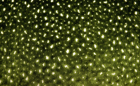 Aubrie Parsley Regal Fabric