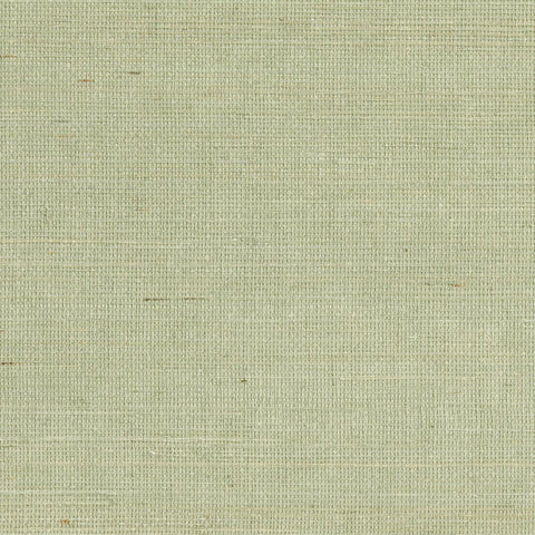 Popun Light Green Grasscloth Wallpaper
