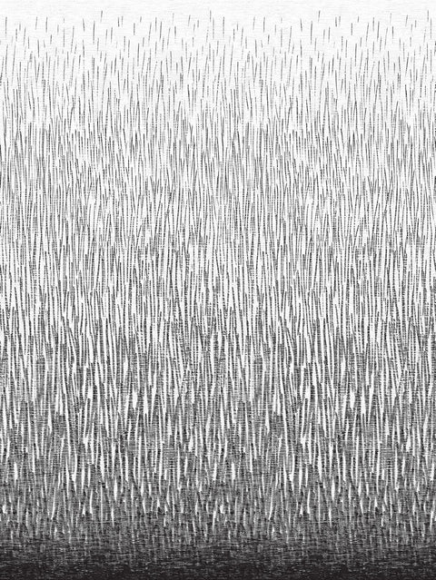 2764-24363 Amaya Black Wall Mural