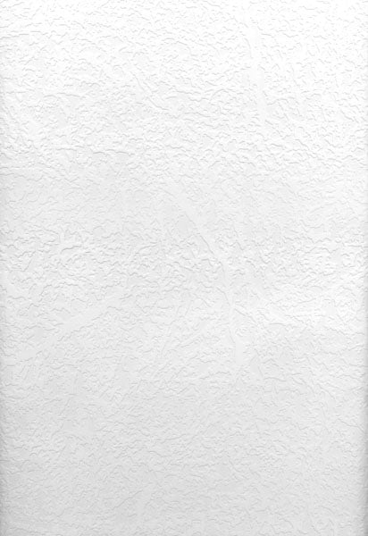 Willie Paintable Texture Wallpaper