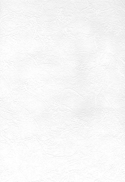 Cale Paintable Slap Trowel Plaster Wallpaper
