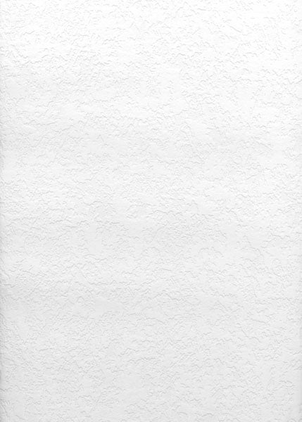 Dunlap Paintable Plaster Texture Wallpaper