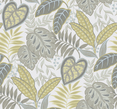 Citrine Jasmine Wallpaper