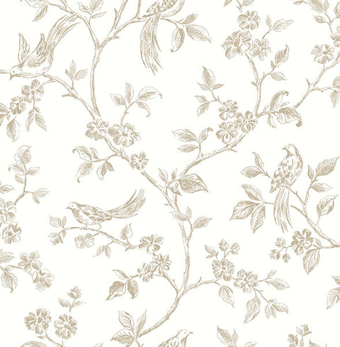 2813-24974 Ray Taupe Bird Trail Wallpaper