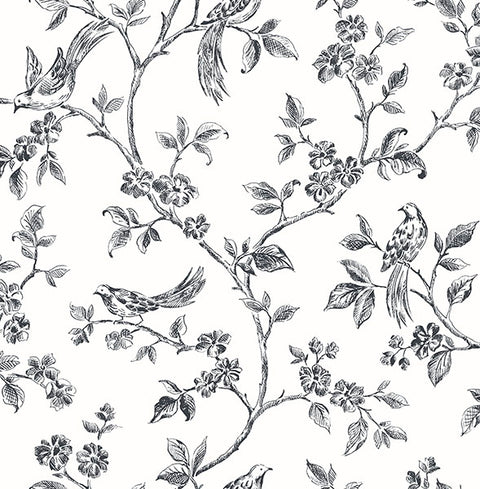 2836-24976 Ophelia Black Bird Trail Wallpaper