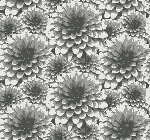 2861-87518 Umbra Charcoal Floral Wallpaper