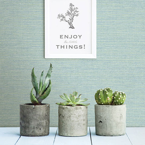 2902-24282 Agave Mint Faux Grasscloth Wallpaper