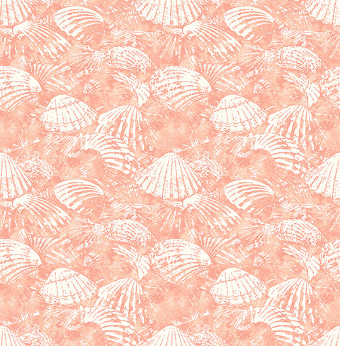 2904-25689 Surfside Coral Shells Wallpaper