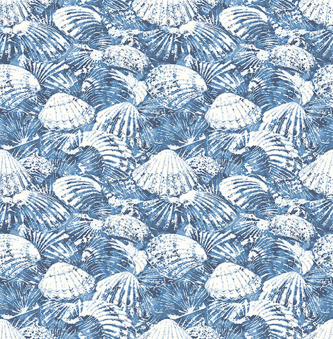 2904-25691 Surfside Blue Shells Wallpaper