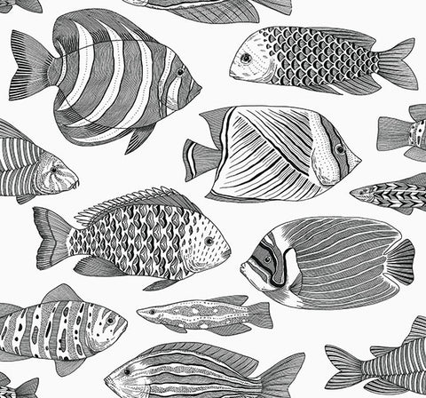 2927-80200 Wailea Black Tropical School Wallpaper
