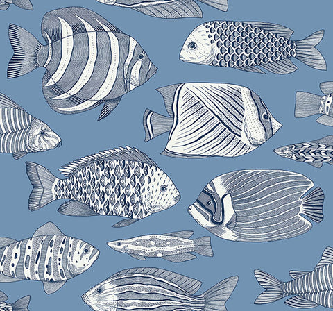 2927-80212 Wailea Sky Blue Tropical School Wallpaper