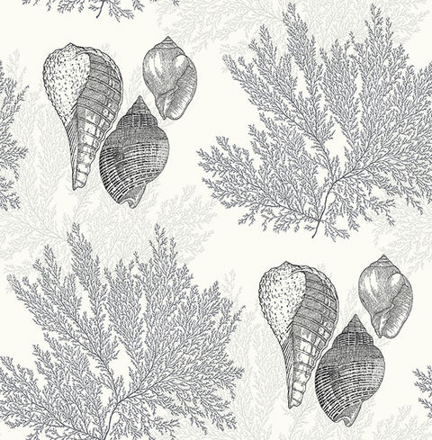 2927-81200 Nauset Black Seashell Shores Wallpaper