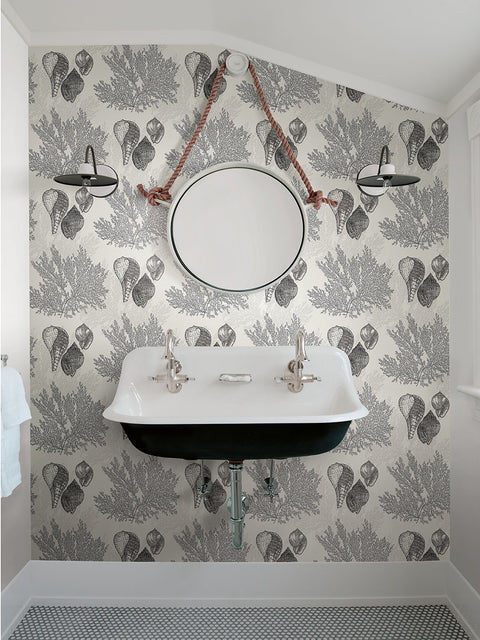 2927-81200 Nauset Black Seashell Shores Wallpaper