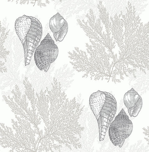 2927-81205 Nauset Cream Seashell Shores Wallpaper