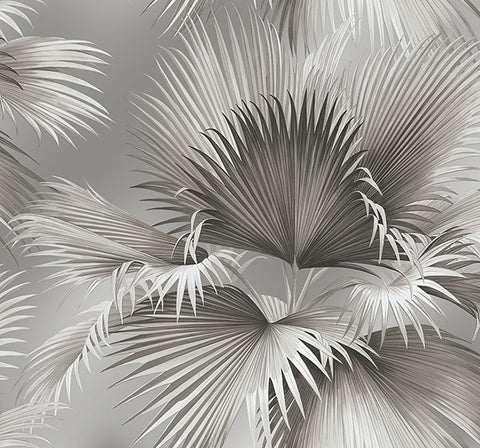 2927-81908 Summer Palm Platinum Tropical Wallpaper