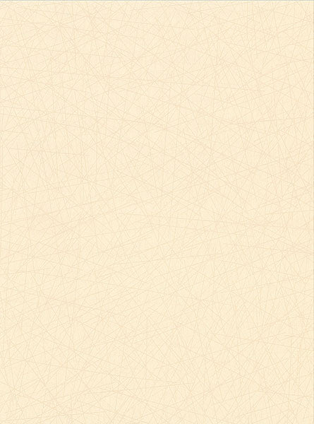 2945-4002 Allover Stix Champagne Geometric Wallpaper