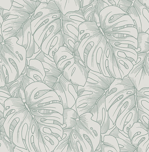 2964-87343 Balboa Olive Botanical Wallpaper