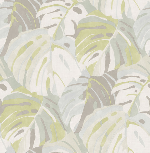 2969-26009 Samara Lime Monstera Leaf Wallpaper