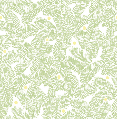 2969-26033 Athina Sage Fern Wallpaper