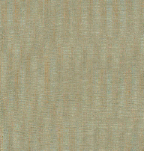 2972-86143 Yanyu Sage Paper Weave Grasscloth Wallpaper