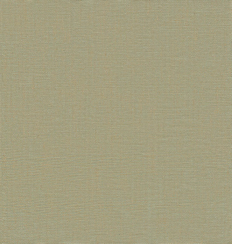 2972-86143 Yanyu Sage Paper Weave Grasscloth Wallpaper