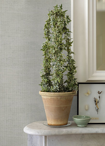 2972-86171 Yawen Silver String Wallpaper
